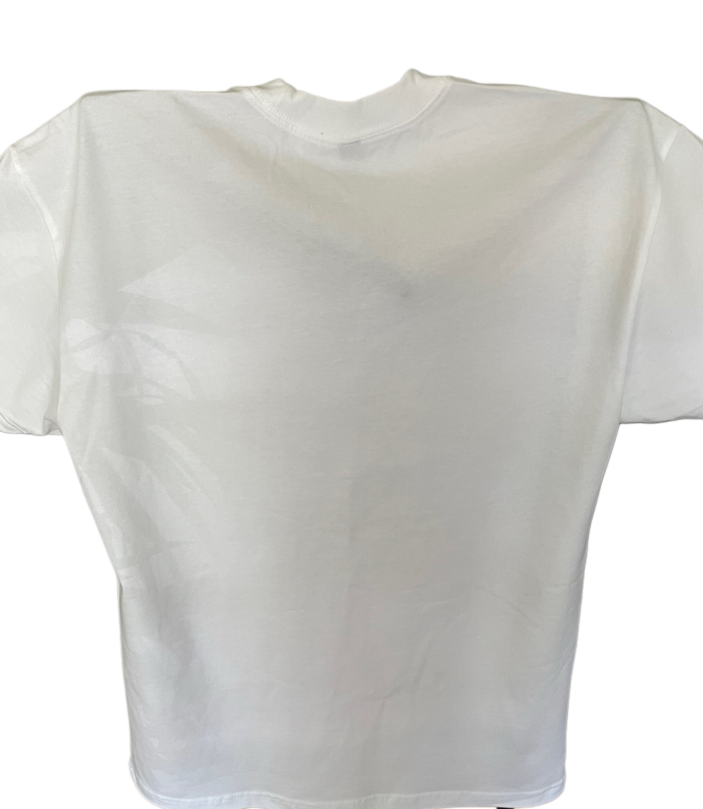 Juke Nation Graphic Logo Heavyweight T-shirt